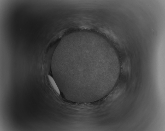 X0000087541205200705181042