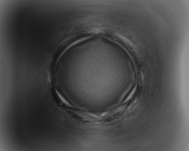 X0000087541206200705181042