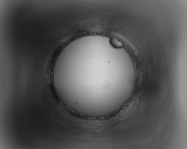 X0000087541207200705181042