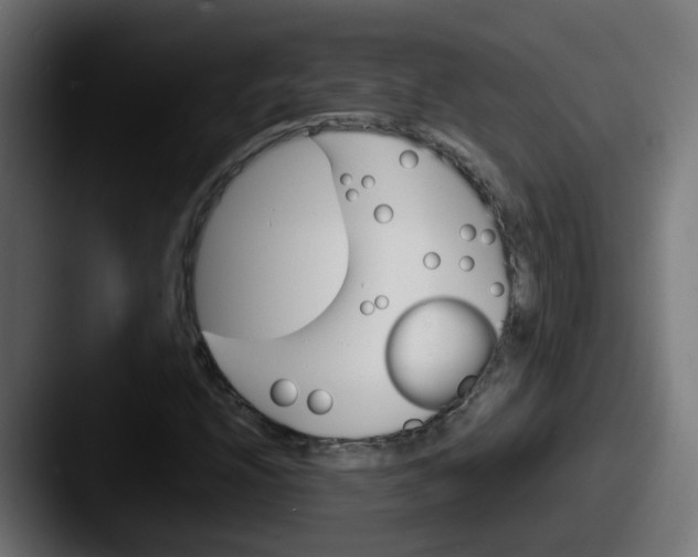 X0000087541208200705181042