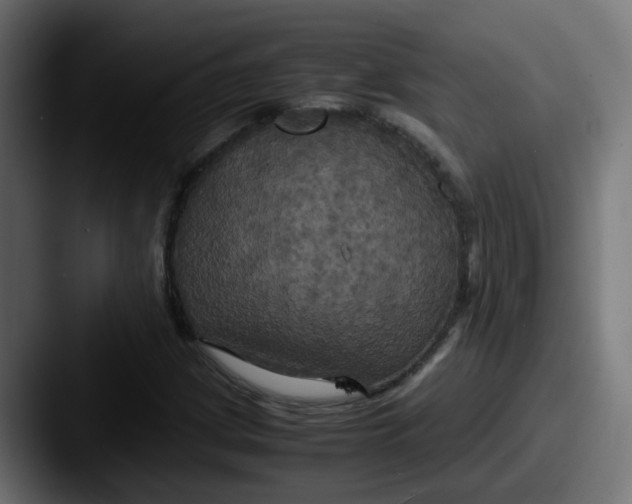 X0000087541209200705181042