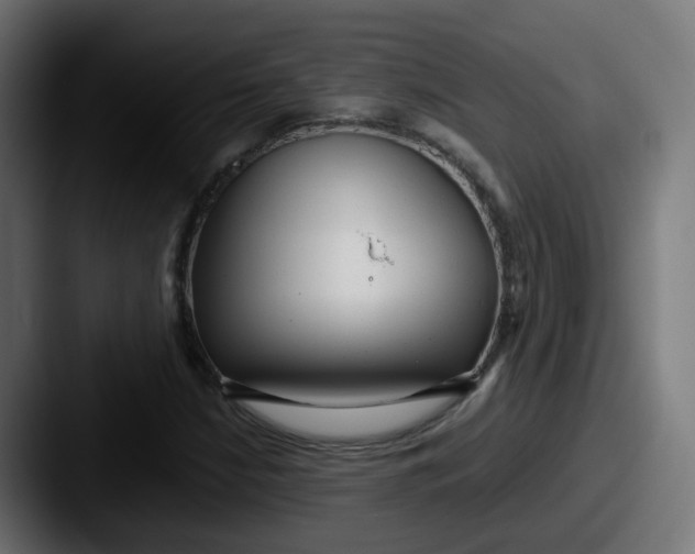 X0000087541210200705181042