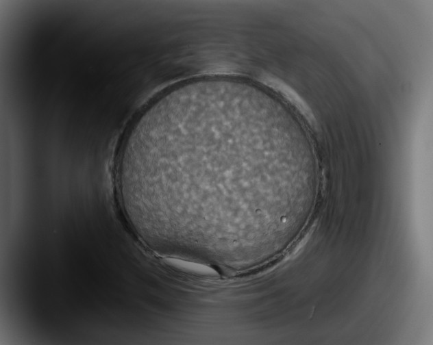 X0000087541212200705181042