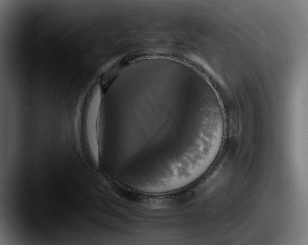 X0000087541213200705181042