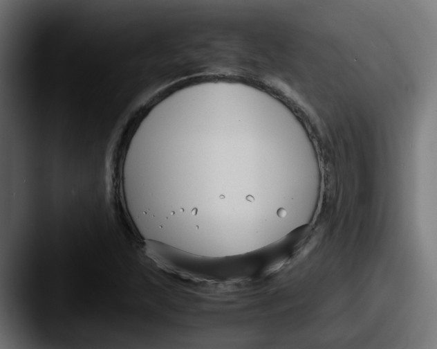 X0000087541215200705181042