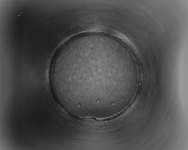 X0000087541216200705181042