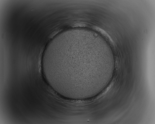 X0000087541217200705181042