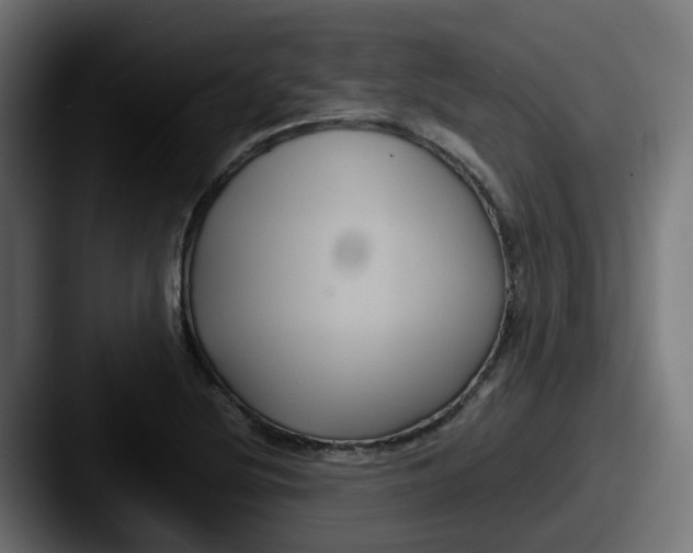 X0000087541220200705181042