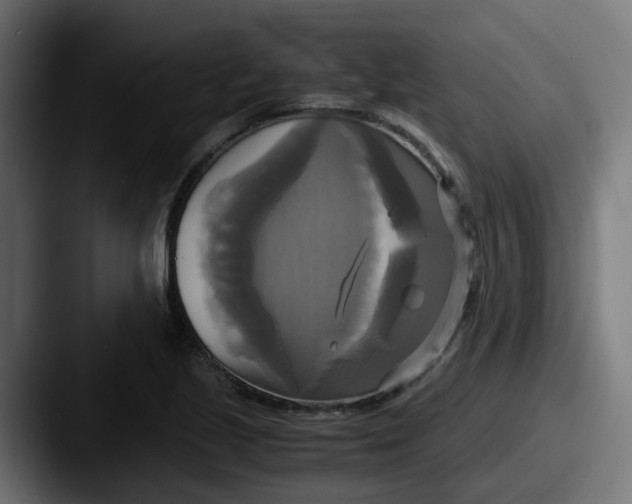 X0000087541221200705181042