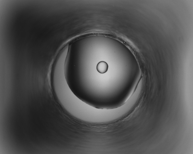 X0000087541222200705181042