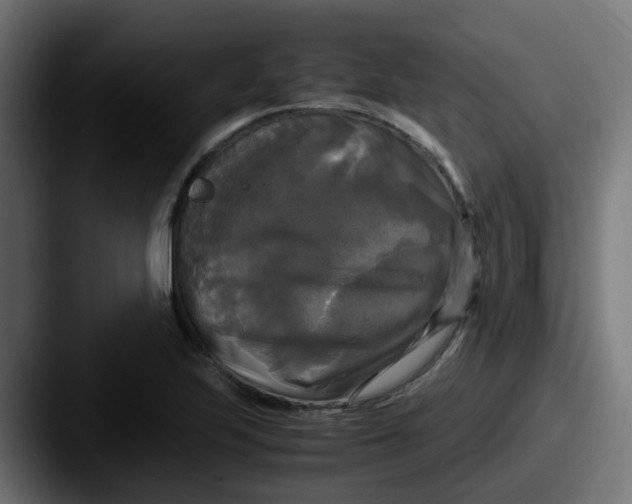 X0000087541223200705181042