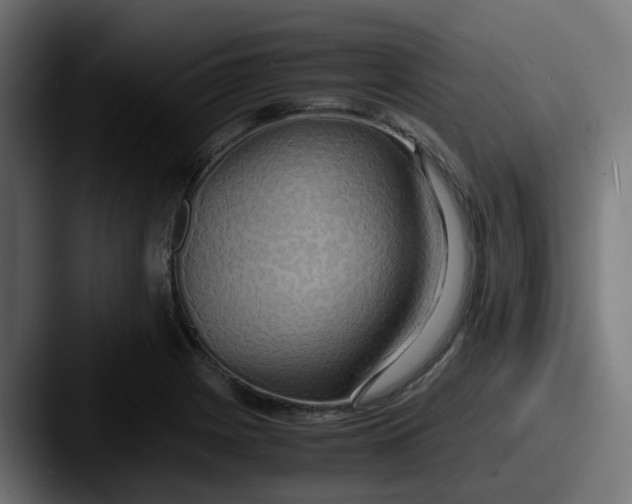 X0000087541225200705181042