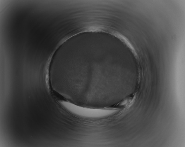 X0000087541226200705181042