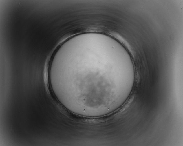 X0000087541227200705181042