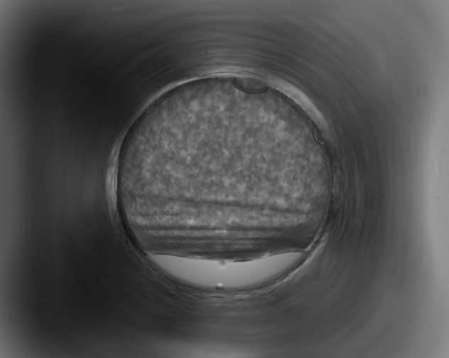 X0000087541228200705181042