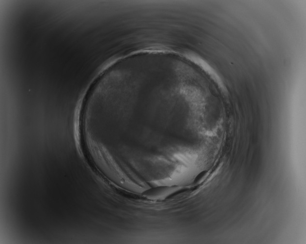 X0000087541229200705181042