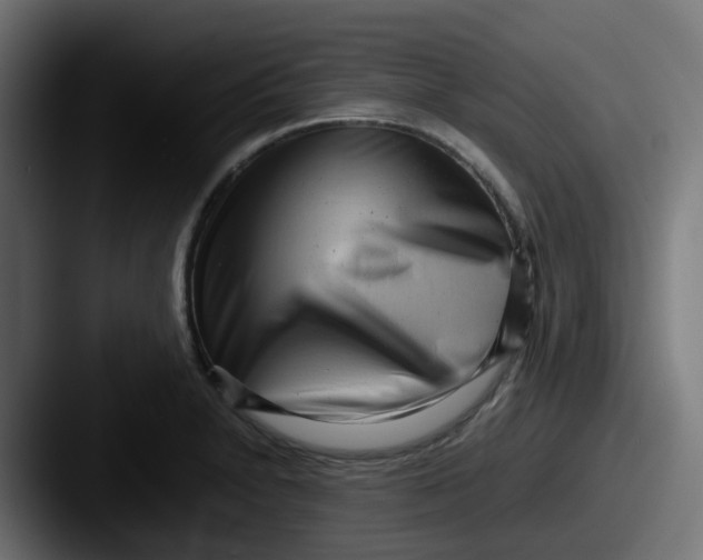 X0000087541230200705181042