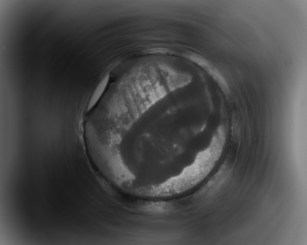 X0000087541233200705181042