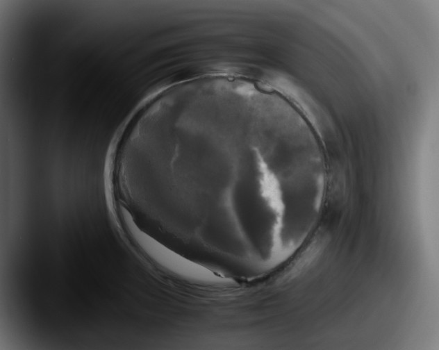 X0000087541235200705181042