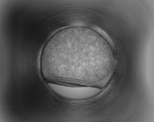 X0000087541236200705181042