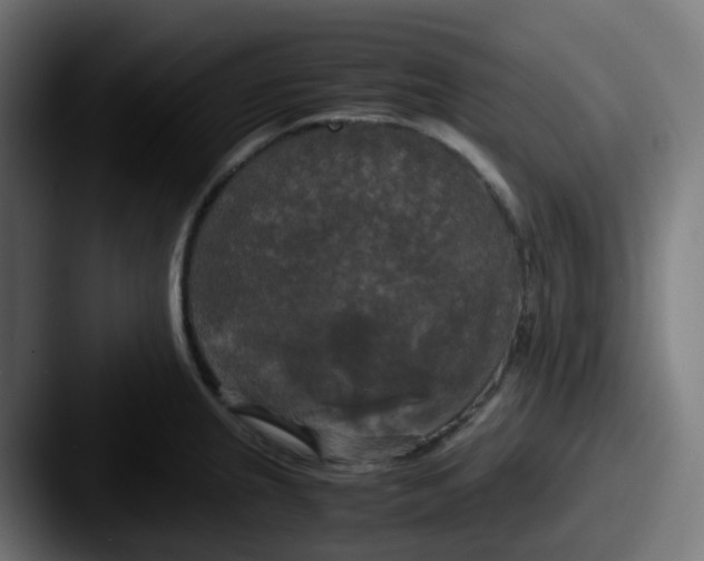 X0000087541237200705181042