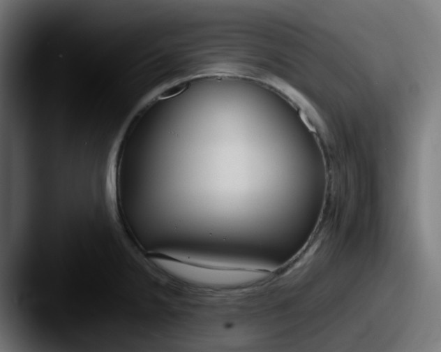 X0000087541238200705181043