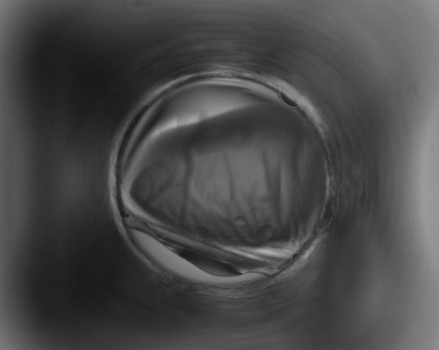 X0000087541239200705181043