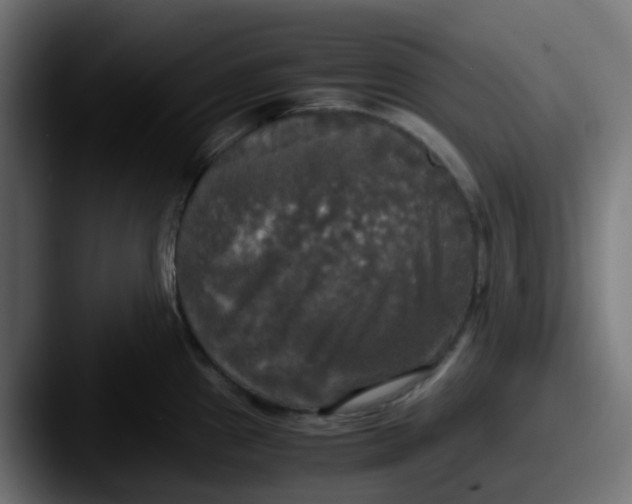 X0000087541241200705181043