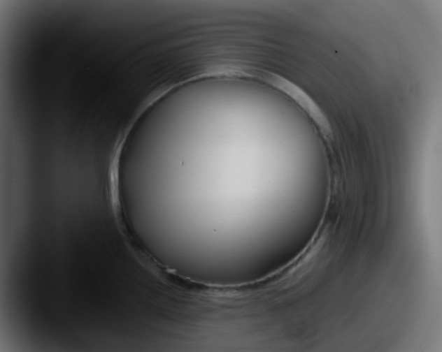 X0000087541242200705181043