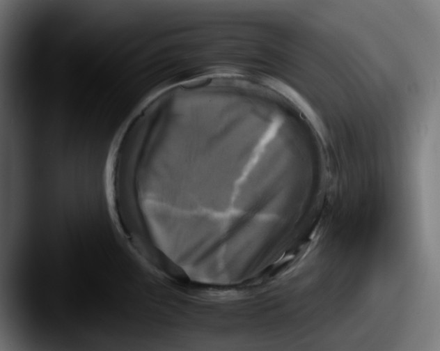 X0000087541243200705181043