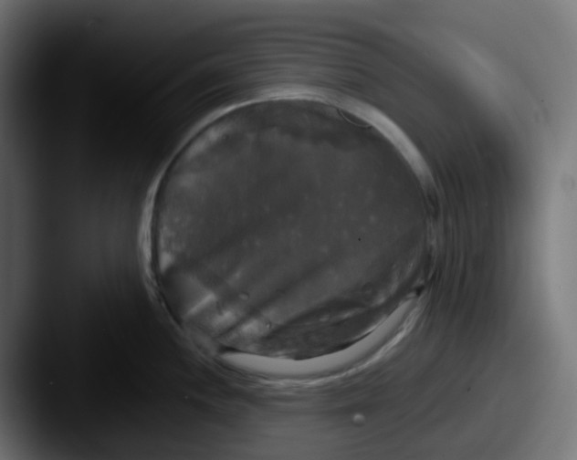 X0000087541244200705181043