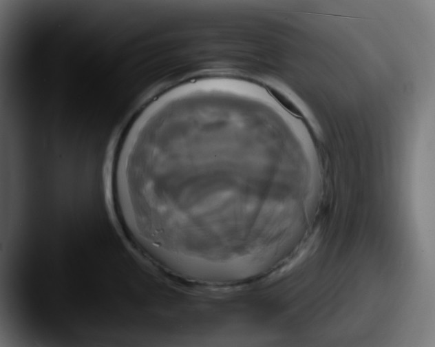 X0000087541245200705181043