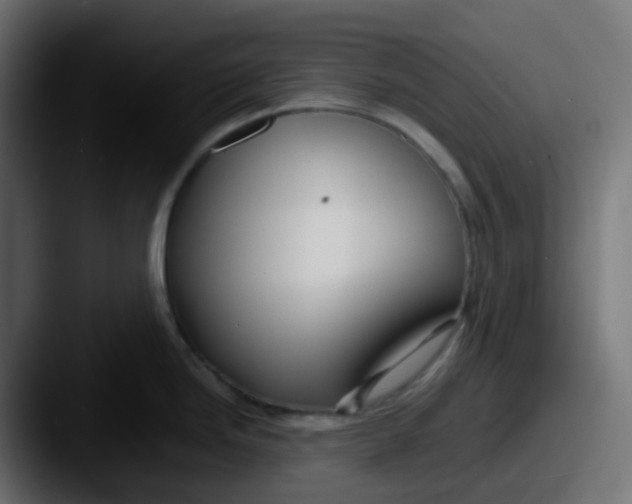 X0000087541246200705181043