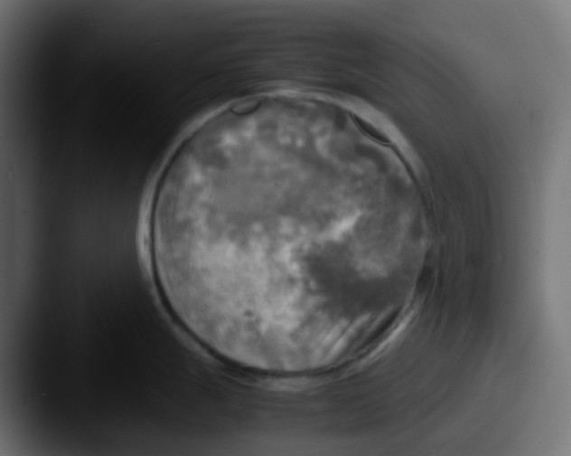 X0000087541247200705181043