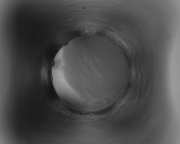 X0000087541250200705181042