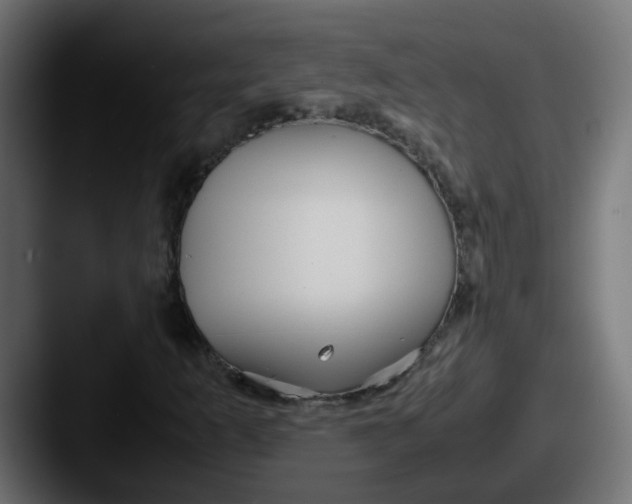 X0000087541253200705181042