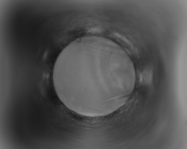 X0000087541254200705181042