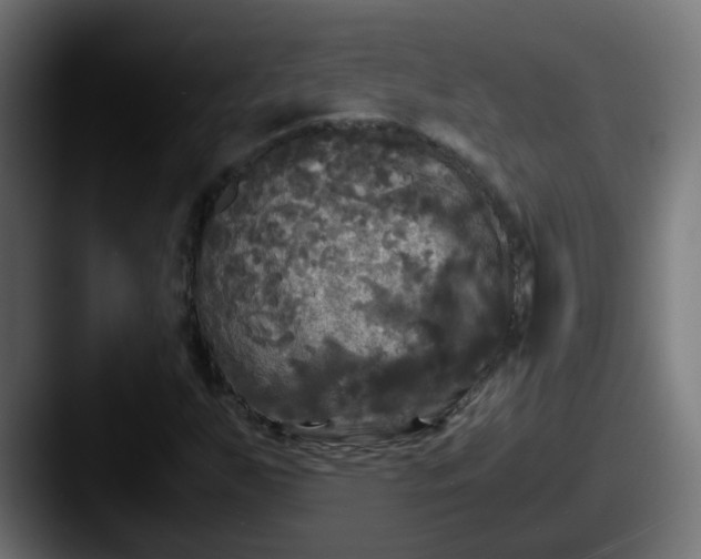 X0000087541255200705181042