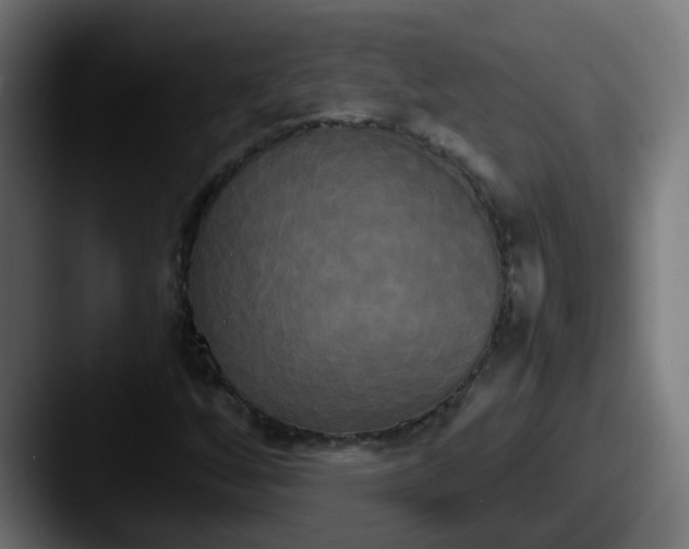 X0000087541256200705181042