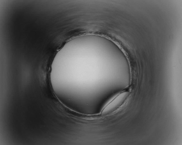 X0000087541257200705181042