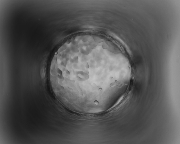 X0000087541259200705181042