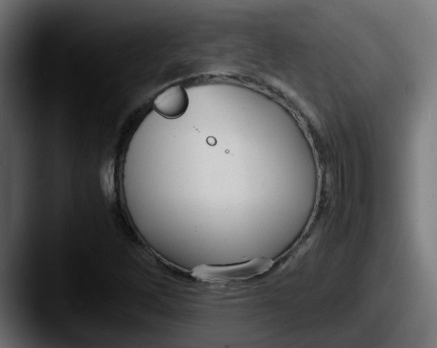 X0000087541262200705181042