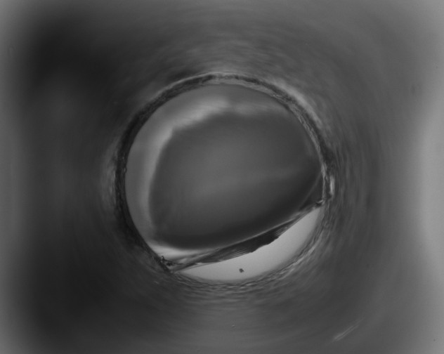 X0000087541263200705181042