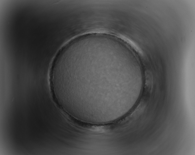 X0000087541264200705181042