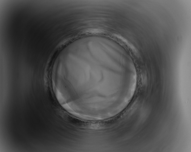 X0000087541266200705181042