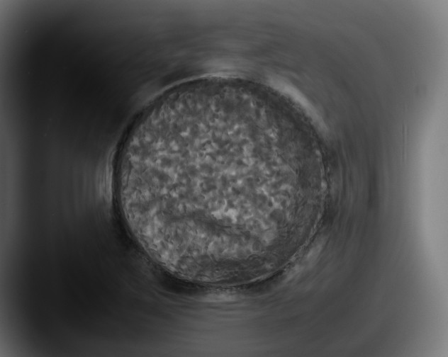 X0000087541267200705181042