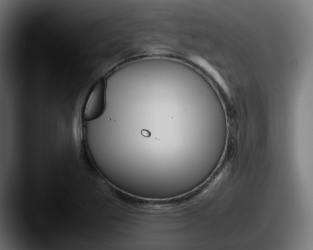 X0000087541269200705181042