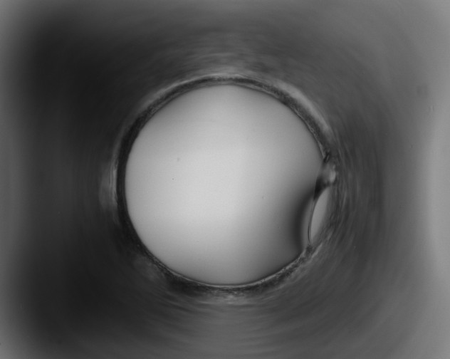 X0000087541270200705181042