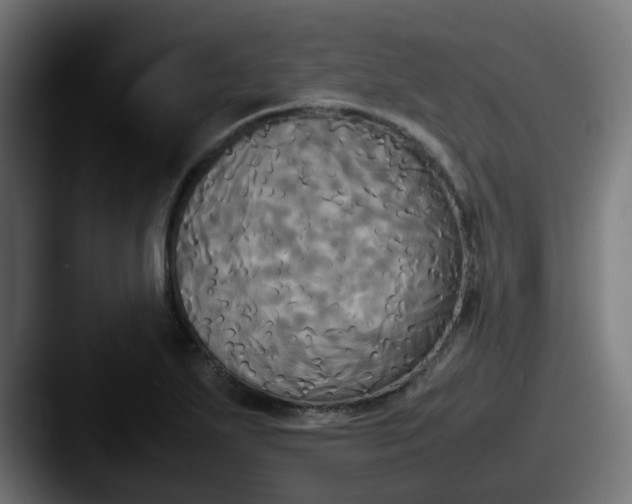 X0000087541271200705181042