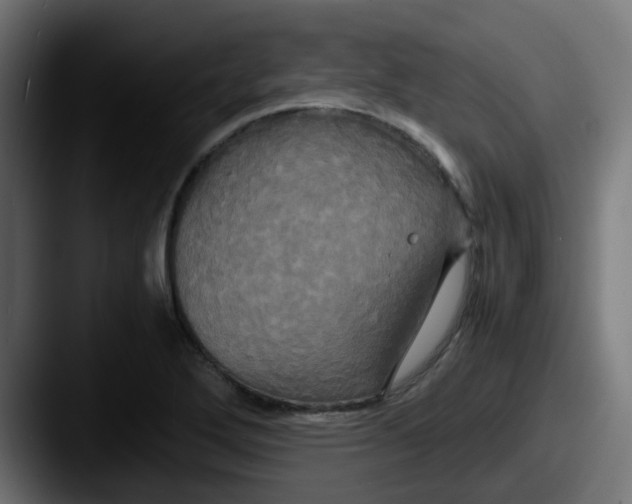 X0000087541272200705181042